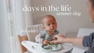 summer days in the life: week of groceries, starting Zeke on solids, yummy recipes & more!