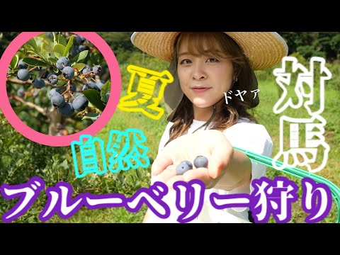 国際社会学科 夏の対馬であまぁ〜いブルーベリー狩り💗💗💗