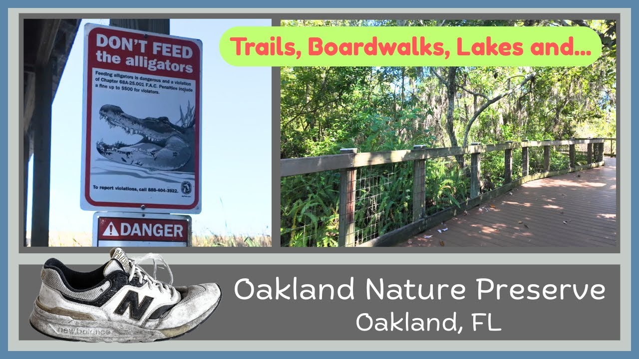 Oakland Nature Preserve Hike with Ambient Sounds 4K Ultra-HD