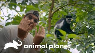 Thumbnail del capítulo