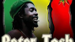 Peter Tosh - Not Gonna Give It Up