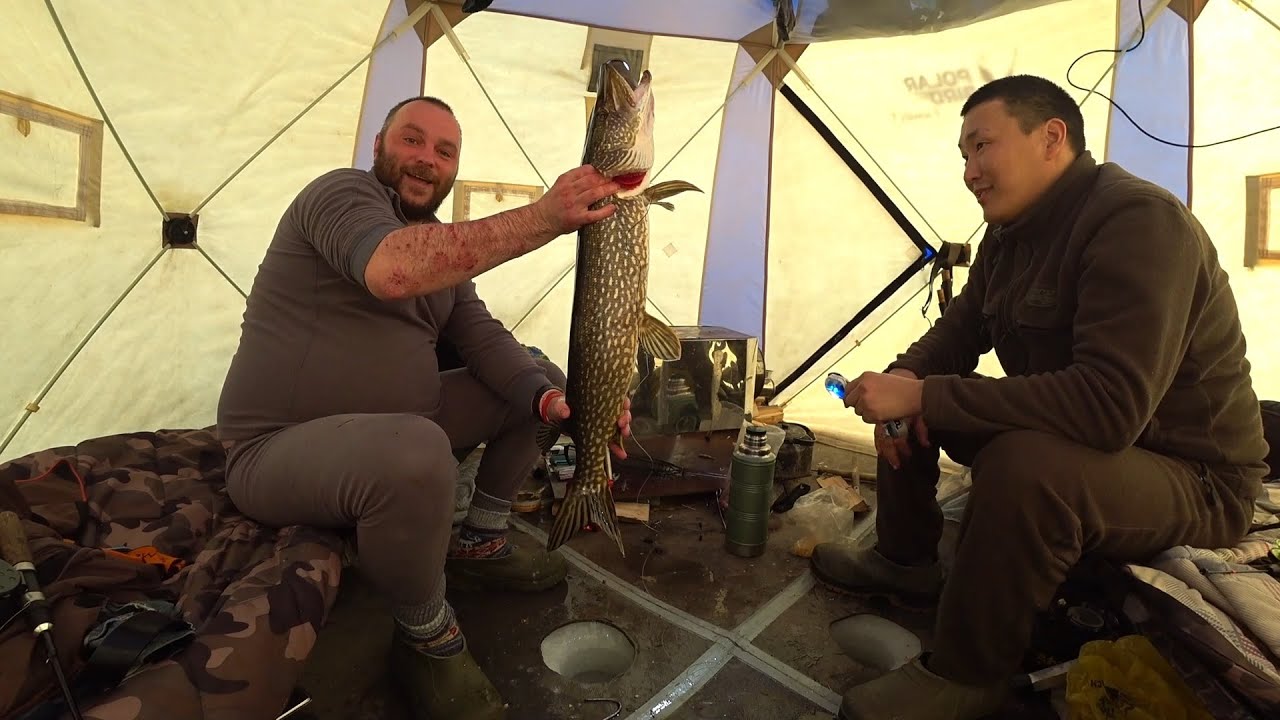 Рекорды по щуке можно ставить бесконечно. Одна больше другой