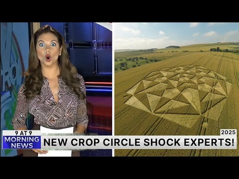 Quantum AI Just Analyzed a Fresh Crop Circle — Experts Are Lost for Words