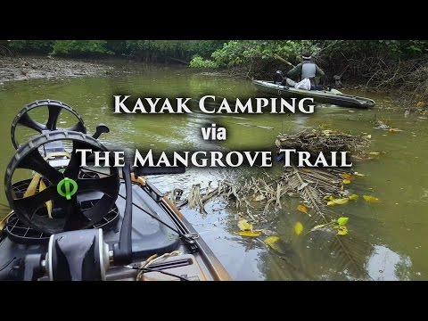 Kayak Camping via The Mangrove Trail with Hermann @ Mamam Beach, Pulau Ubin, Singapore [4K]