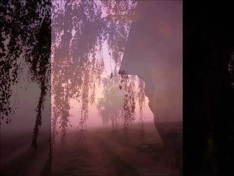 Dein Letzter Weg - Marcella Carin