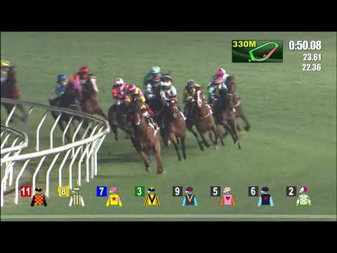 2/3/2022 (467) Valiant Elegance - L Hewitson