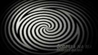 Transilvanians - Godzilla Na Ria
