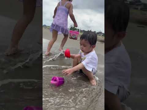 スイレンの家族