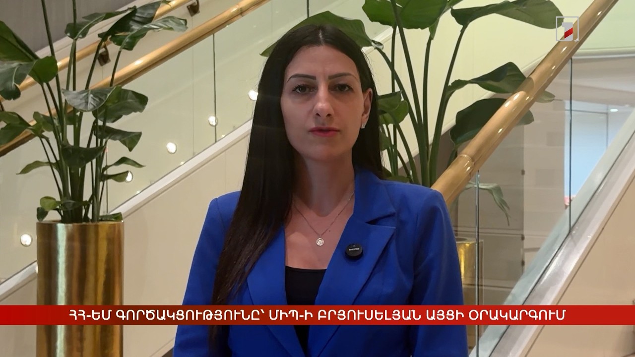 ՀՀ-ԵՄ ոլորտային գործակցությունը՝ ՄԻՊ-ի բրյուսելյան այցի օրակարգում