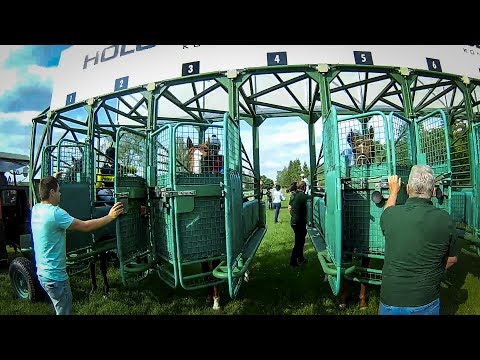 Dostih z pohledu vodiče