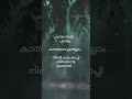 Album Song Lyrics Parayathe Parayunna Kadum Kappi Mizhiyulla Songs Lyrics Trendingstatus Virel