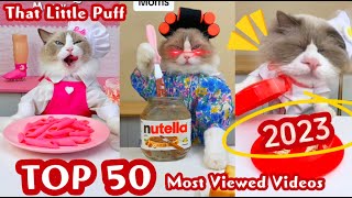 That Little Puff | Top 50 Most Viewed Videos 2023