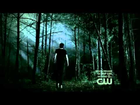 The Vampire Diaries - Damon Saves Elena From A Hybrid ( 3X02)