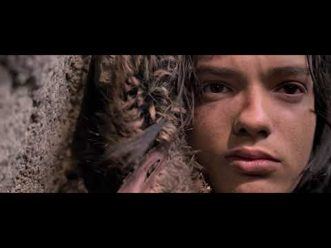 David Guetta feat. Sia - She Wolf (Falling to Pieces) [Ambient Version]