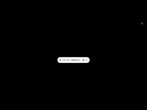 WSSX "95SX" - Legal IDs - 2006-2007 #5