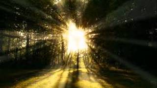 Subway to Sally - Einsam