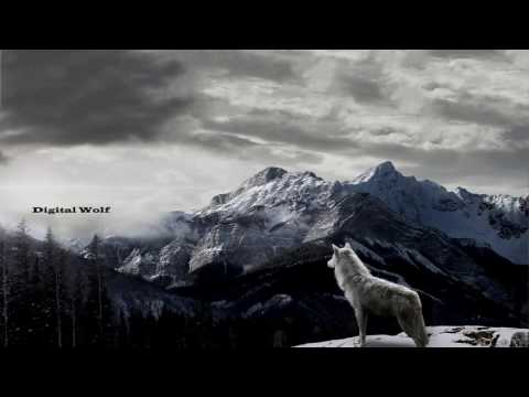 The Best Of House 2016 Mix 30minutes!! - Digital Wolf