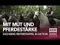 Sattelfest Die Reiterstaffel Der Polizei Sachsen Im Einsatz Entdecke Den Osten MDR DOK
