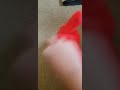 Elmo Stuffed Animal