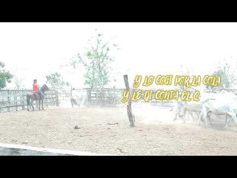 En los Llanos del 70 (Video Lyrics) - Villamil Torres "El Azulejo del Llano"