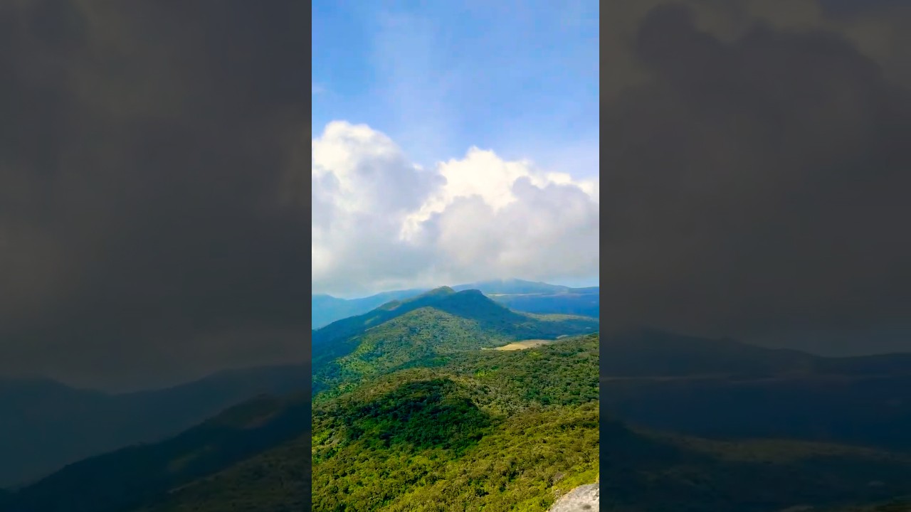 YouTube Short thumbnail