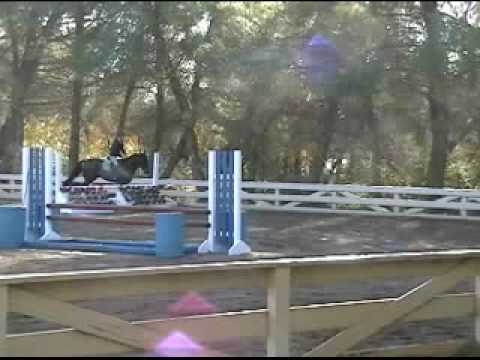 George Morris demo of Advanced Hand Position for jumping