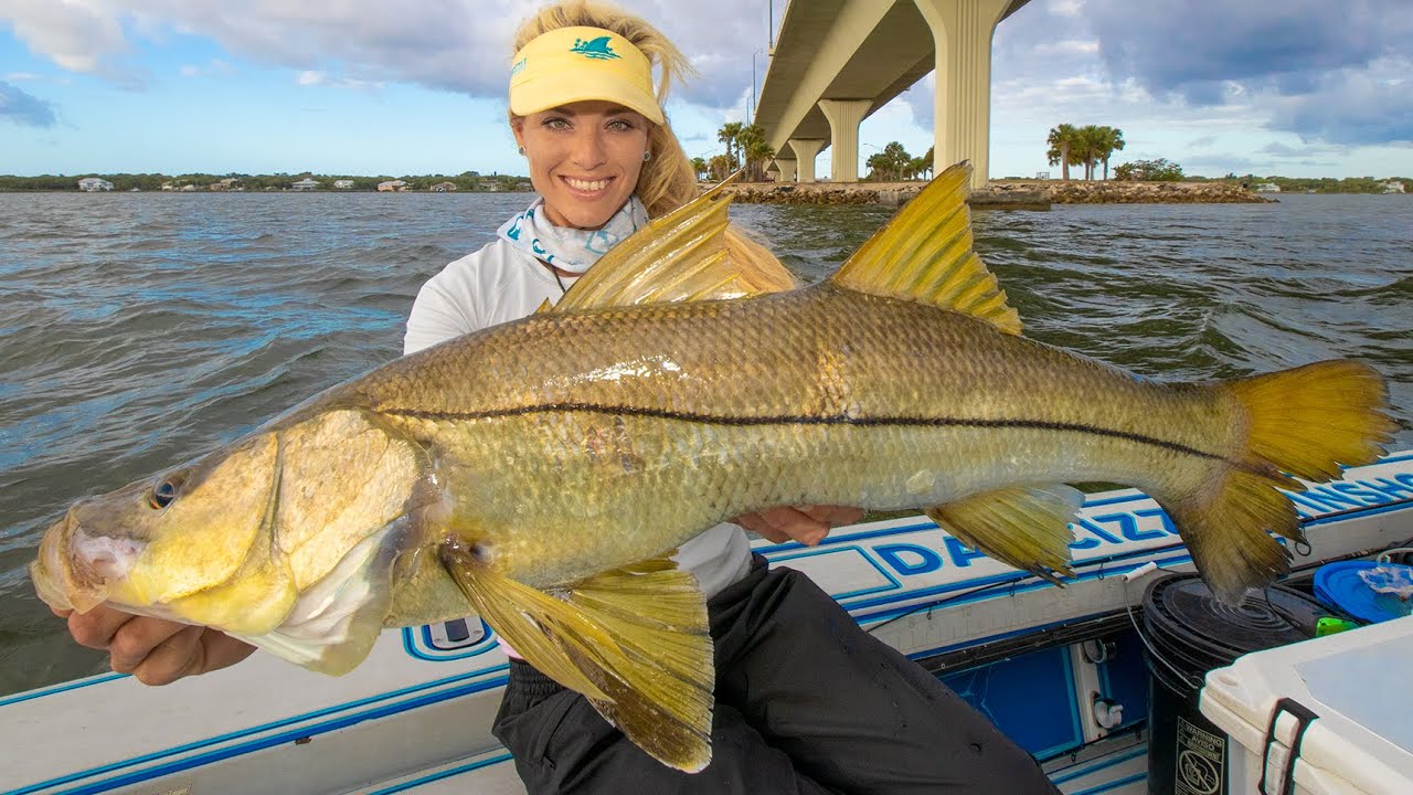 RIVER MONSTERS! Epic Bridge Battles with Huge Predator Fish (South Florida)