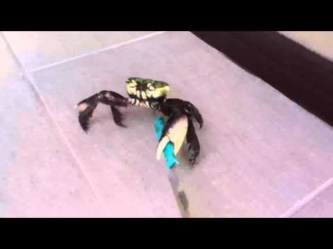 "A weapon to surpass Metal Gear"