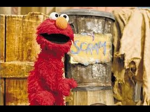 Un verdadero show de ballenas y mini show de elmo