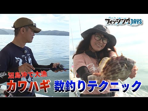 【フィッシングDAYS】#74　沼島沖で大漁 カワハギ数釣りテクニック