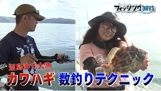 【フィッシングDAYS】#74　沼島沖で大漁 カワハギ数釣りテクニック
