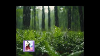 Lullaby of Spring - Donovan