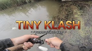 【TINY KLASH】ヨコヨコしてたら水面からピョコ！！〜マッチ・ザ・ベイトを求めて〜