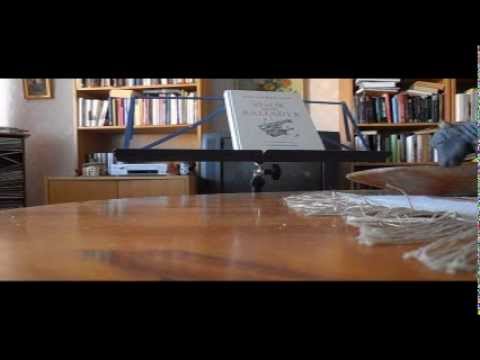 Nils Ferlin: En död.wmv