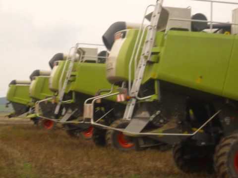 dreschen im Haselbachtal