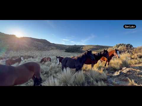 Cruzaron un río helado para llegar al Salto de la Negra Libre - San Luis Profundo - 24 - 06 - 2026