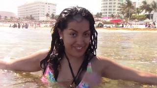 SEAWEED In Cancun Mexico Beaches