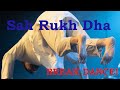 Ri Ri's | Sah Rukh Dha | Danger | Bollywood Break Dance | Manchester