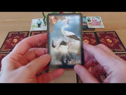 WUNSCHPARTNERORAKEL - WIE SIND DIE GEFÜHLE DEINES WUNSCHPARTNERS UND WAS FÜHLST DU FÜR IHN?