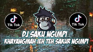 Download lagu DJ SAUKUR NGIMPI VIRAL TIKTOK TERBARU 2022 mp3