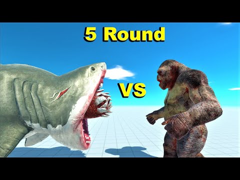 Mutant megalodon vs goro the giant 5 round no cut animal revolt battle simulator