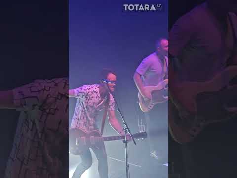 Zed - Renegade fighter LIVE 2023