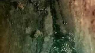 shivaree - john 2/14