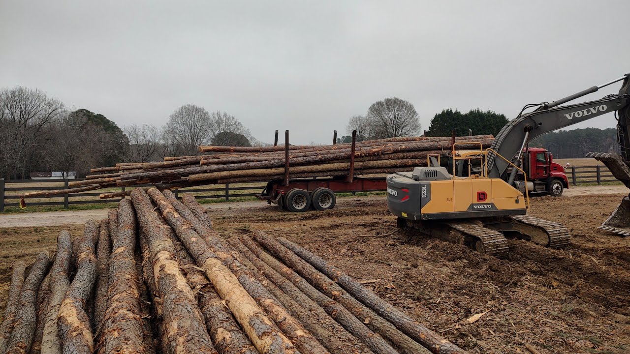 Finally Getting Logs Out!