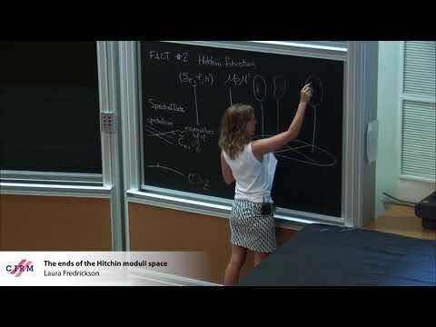 Laura Fredrickson: The ends of the Hitchin moduli space