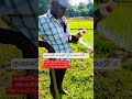 ලංකාවෙ හොදම වල්නාශකය Best Herbicide In Sri Lanka Now Time ️ Sh