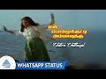 En Bommukutty Ammavukku Movie Songs Chitra Chittugal Song Whatsapp Status Sathyaraj Suhasini