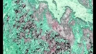 Colin Moulding (ex- XTC) - Brain Damage