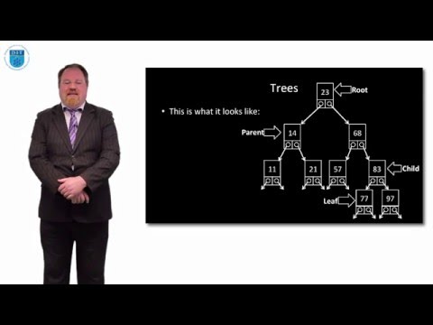 Python: Binary Trees