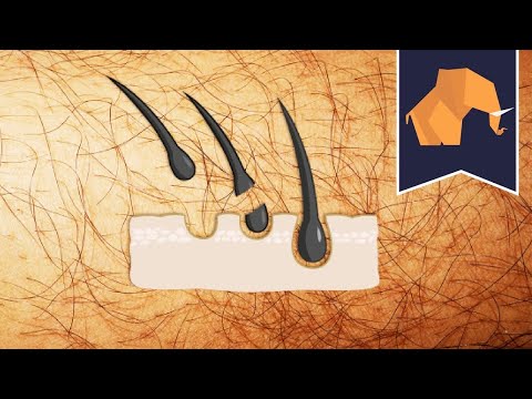 Does hair grow back THICKER if you shave or pluck?